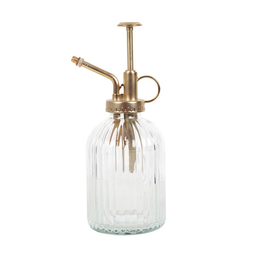 Ribbet glasplante Mister - MoodTiles