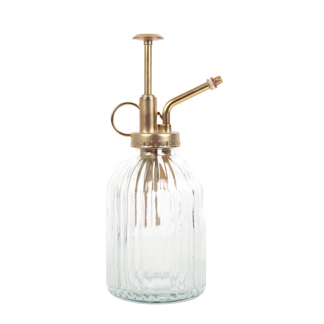 Ribbet glasplante Mister - MoodTiles